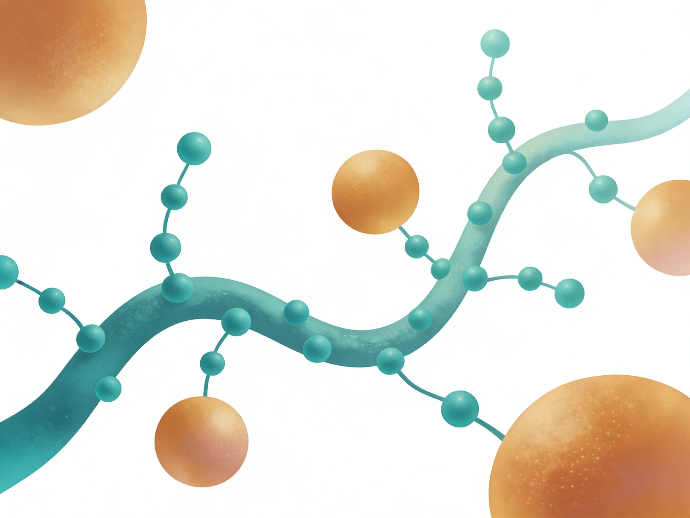 Hero image for How Your Vagus Nerve Acts as Your Body's Anti-Inflammation Switch