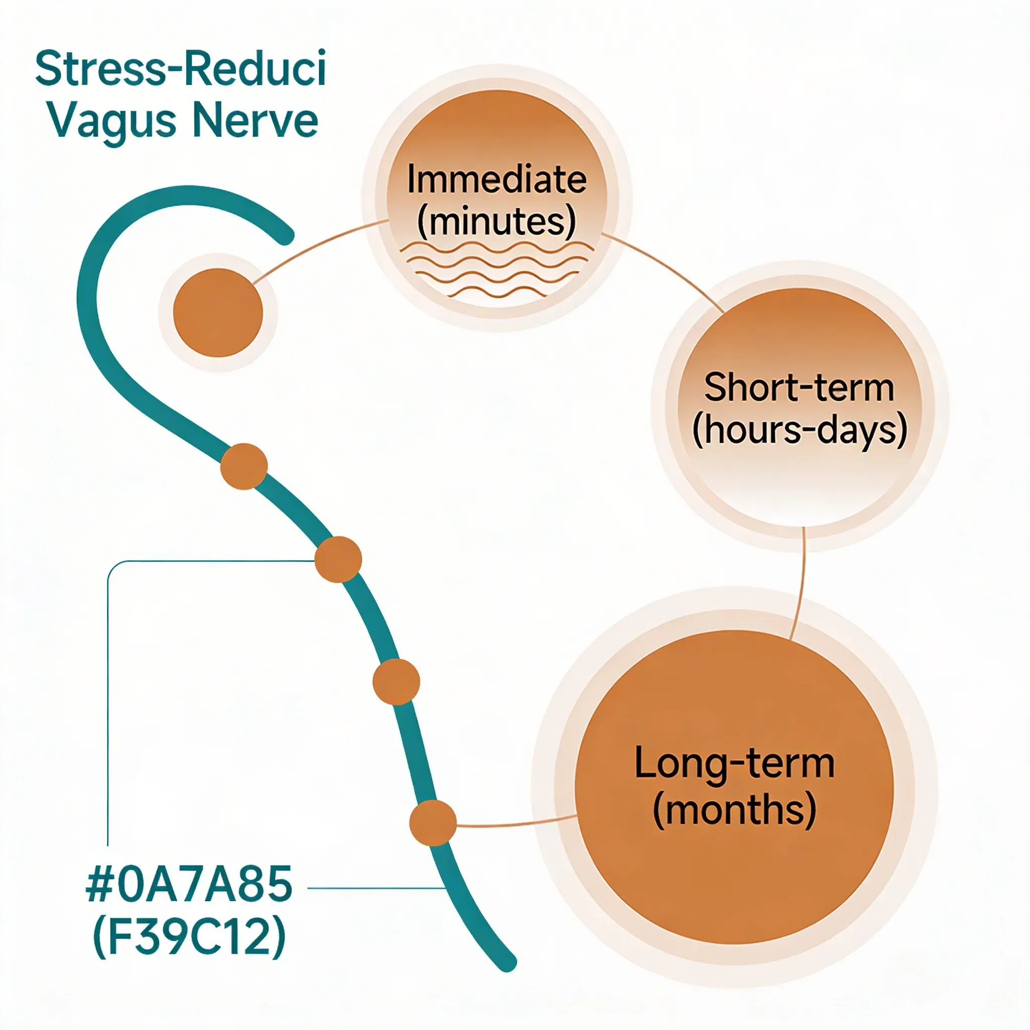 Hero image for How Long Does Vagus Nerve Stimulation Take to Reduce Stress?