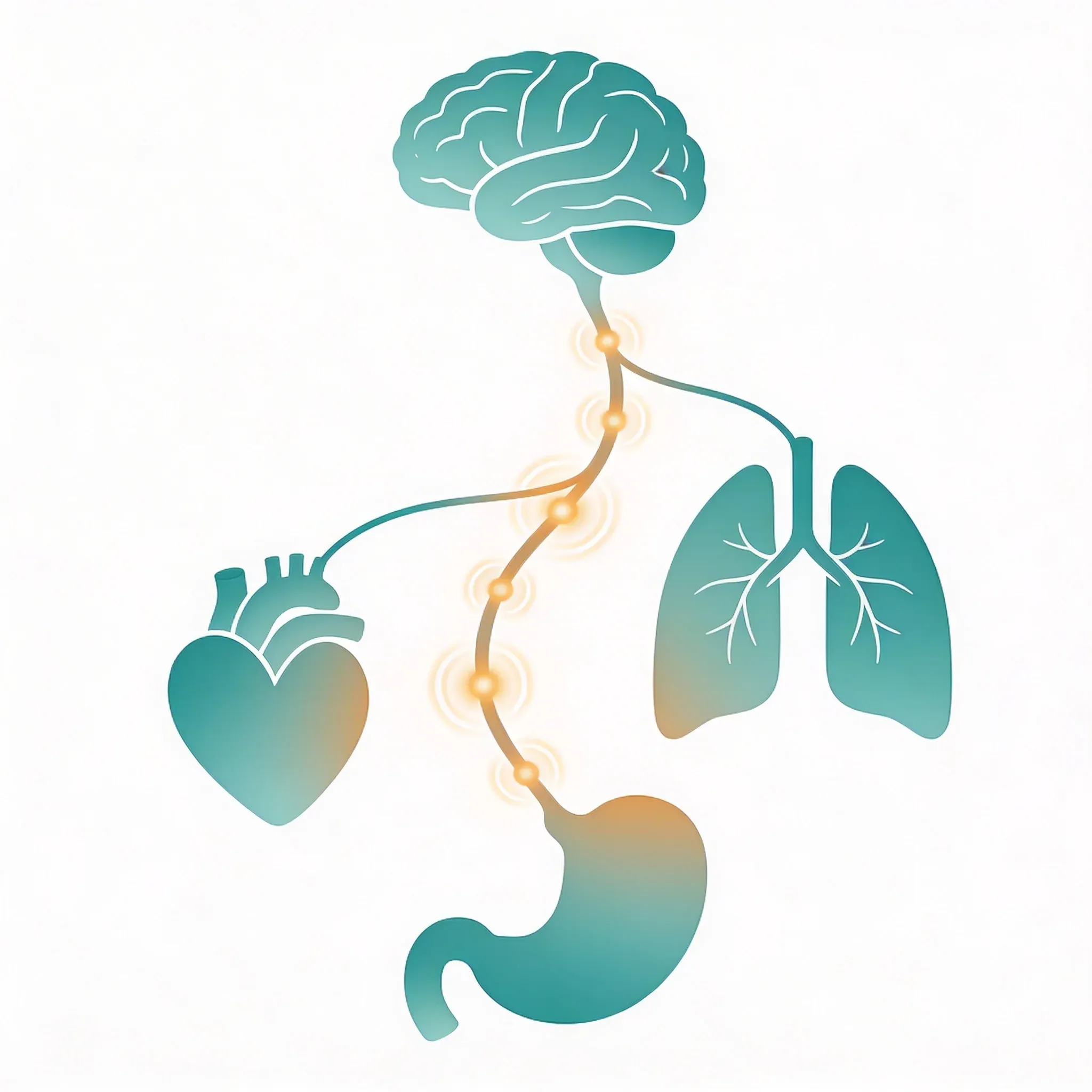 Hero image for Can Vagus Nerve Stimulation Really Improve Mental Clarity?