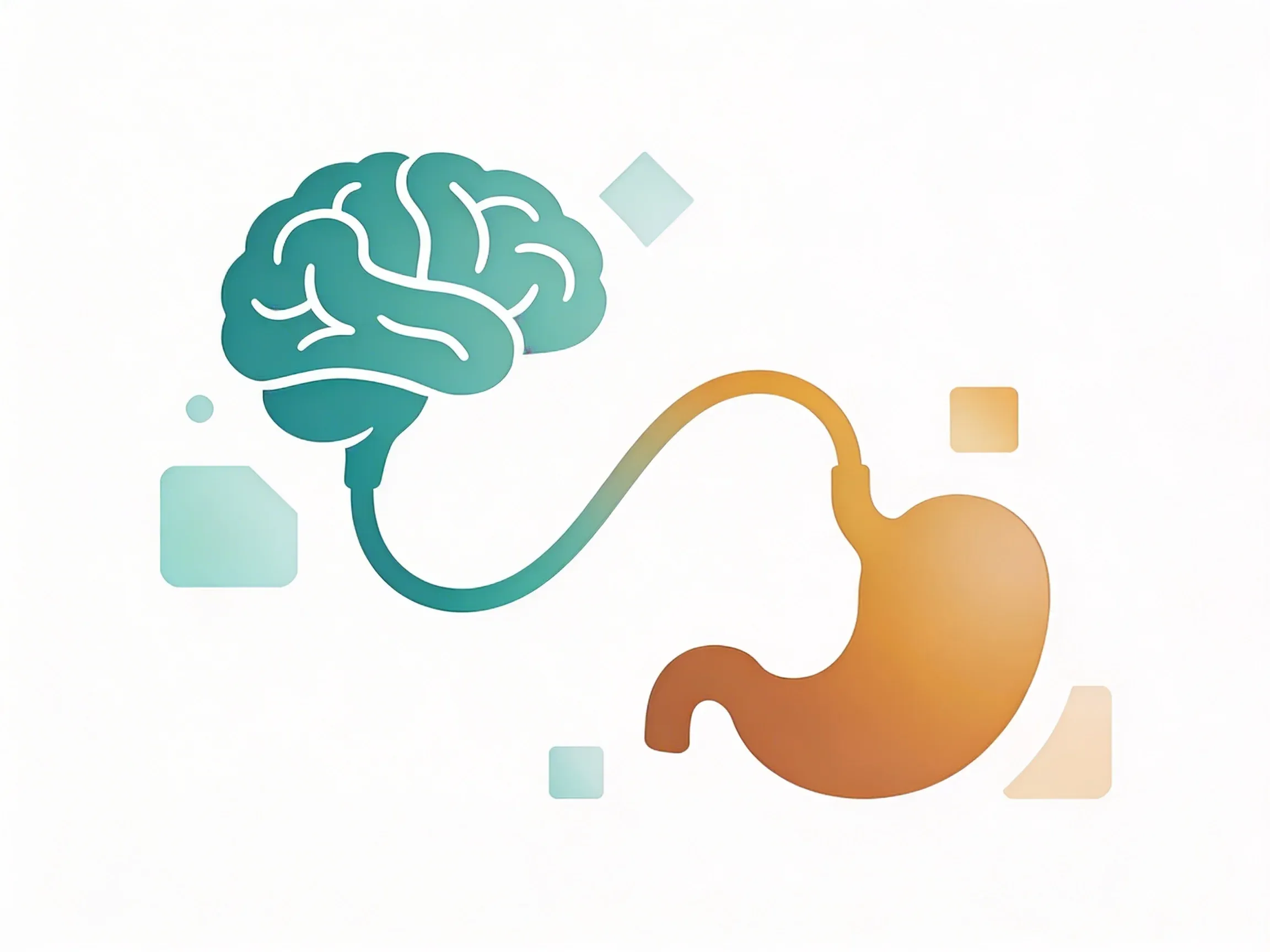 Hero image for Why Your Stomach Reacts to Stress: The Hidden Nerve Connection