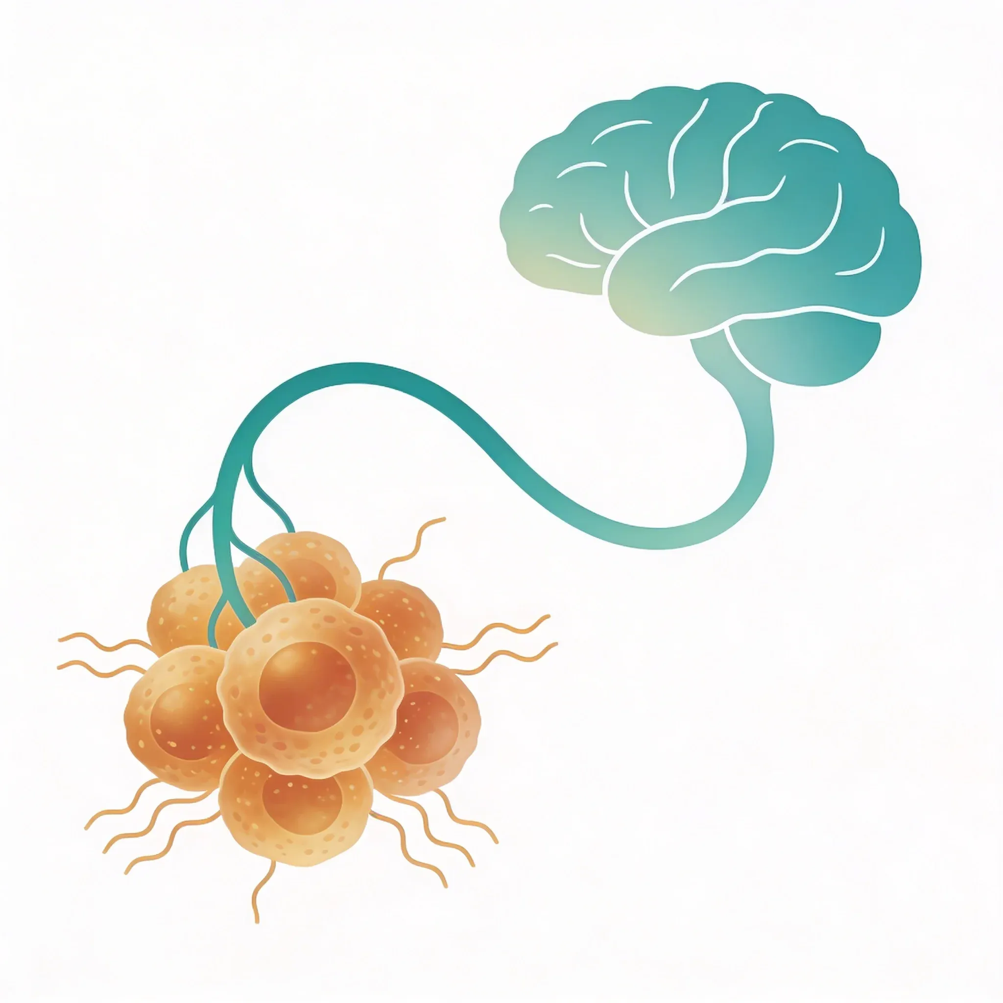 Hero image for Can One Nerve Really Control Your Immune System?