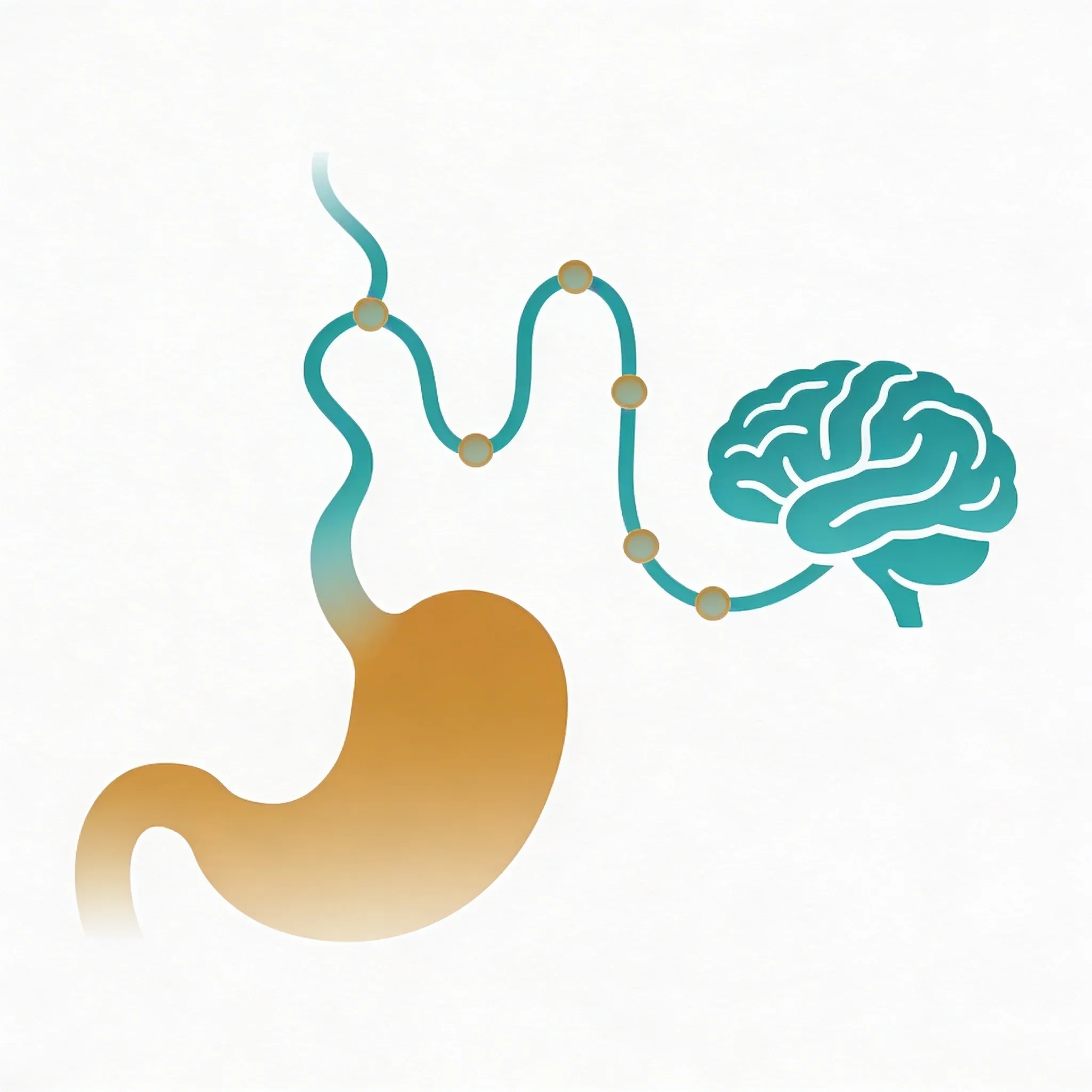 Hero image for Can One Nerve Really Control Your Entire Digestive System?