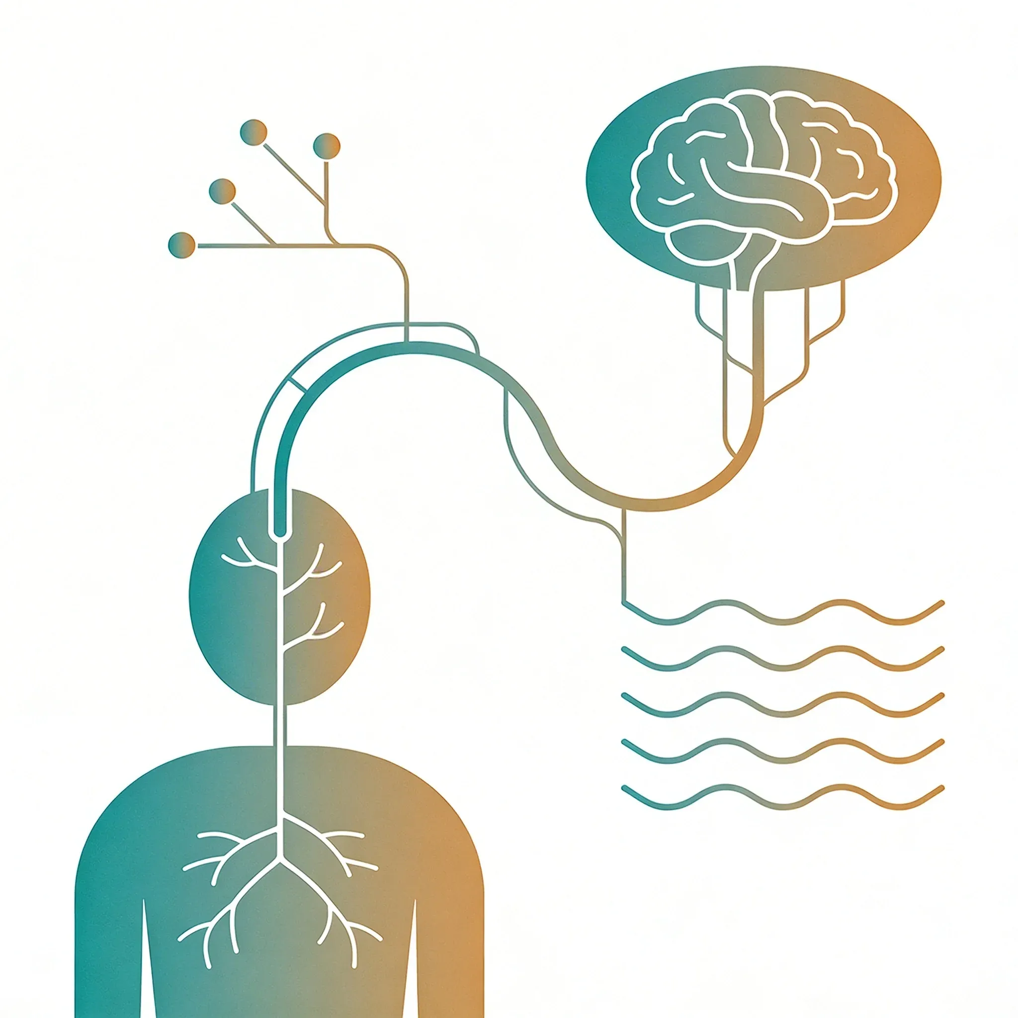 Hero image for Can One Nerve Really Control Your Emotional Balance?