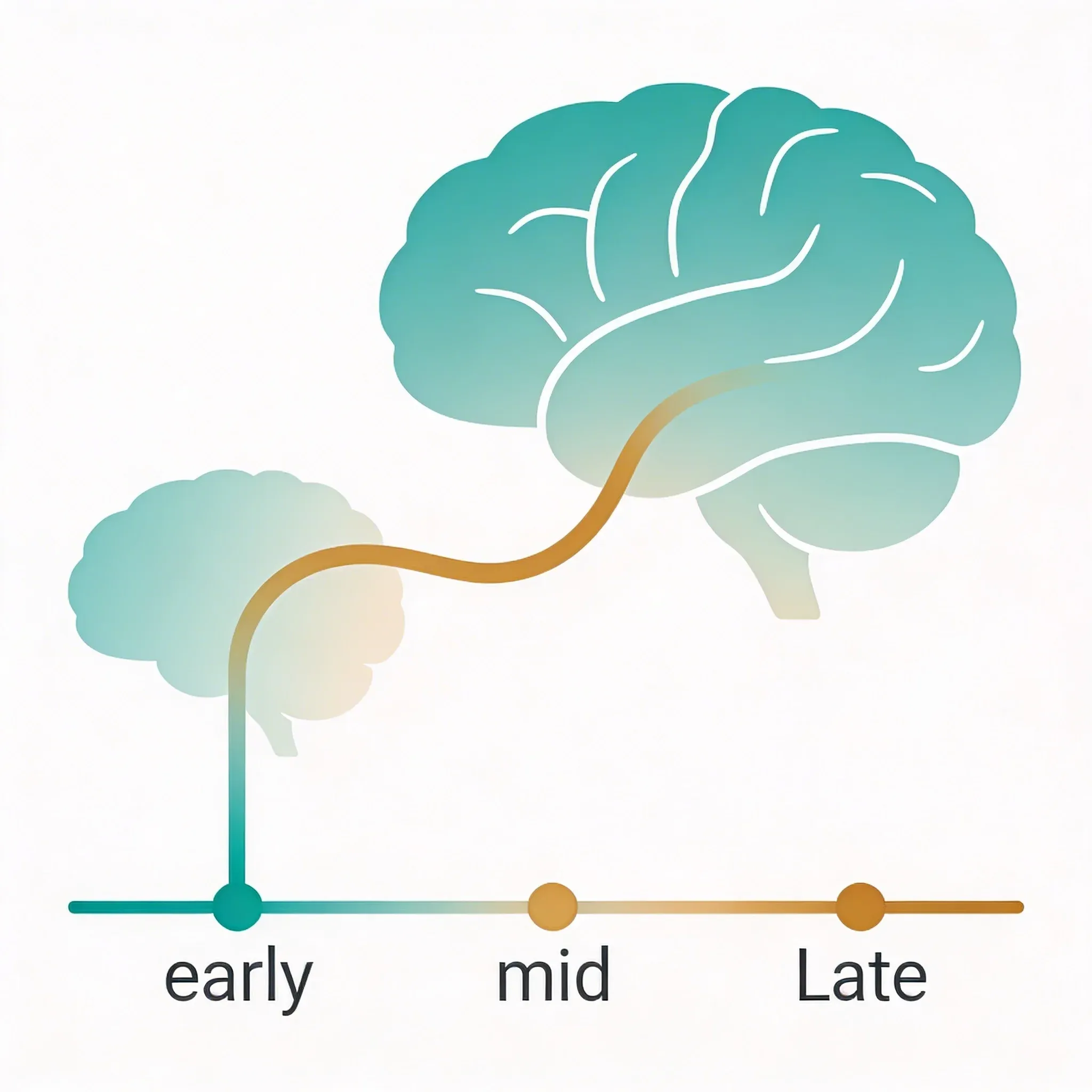 Hero image for How Long Does VNS Take to Improve Mental Performance?